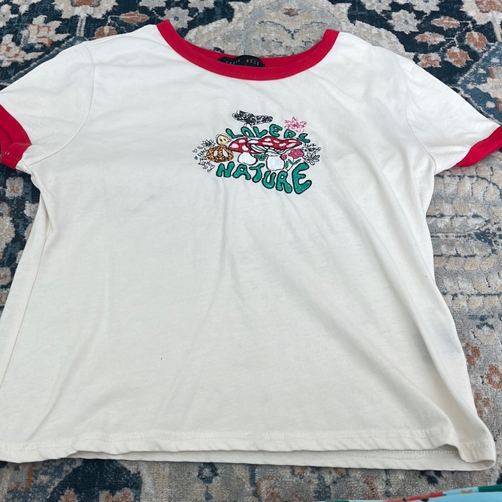 Faded rose crop top embroidered design
